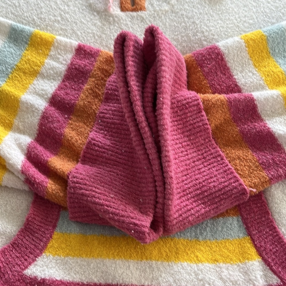LoveShackFancy Fenmore Hoodie - Picture 8 of 11